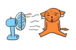 热的图片,揭示视觉信息背后的科学奥秘”