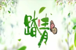 踏青的诗句,诗意盎然行