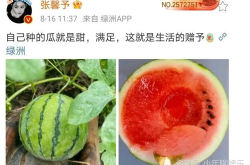 最近娱乐圈有什么瓜吃,明星秘闻大揭秘！