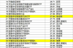 基金519018,投资策略、净值走势与收益分析”