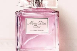 missdior香水,探寻迪奥品牌的优雅香氛传奇