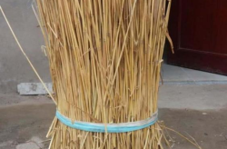 进财娱乐秆,揭秘新型娱乐产业的崛起之路
