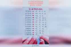 十二生肖年龄表,探寻生肖轮回中的岁月奥秘