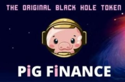 pig币猪币最新消息,市场走势解析与投资前景展望”
