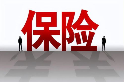 有哪些保险公司,主要保险公司及其业务概览